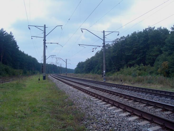 Славута з panoramio.com - Славута