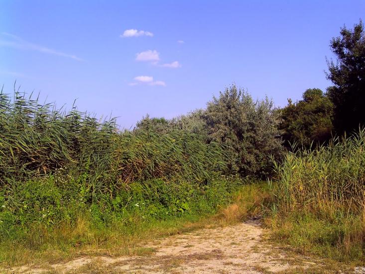 Піски з panoramio.com - Піски