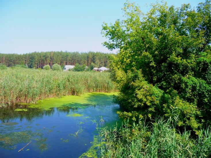 Хорошеве з panoramio.com - Хорошево