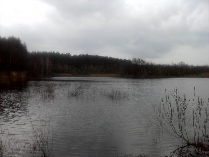 Халявин з panoramio.com - Халявин