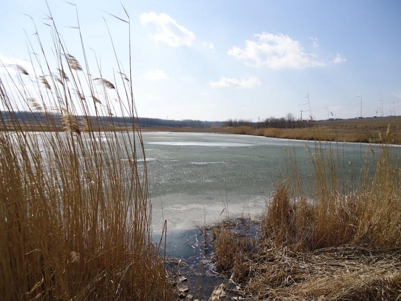 Доля з panoramio.com - Dolya