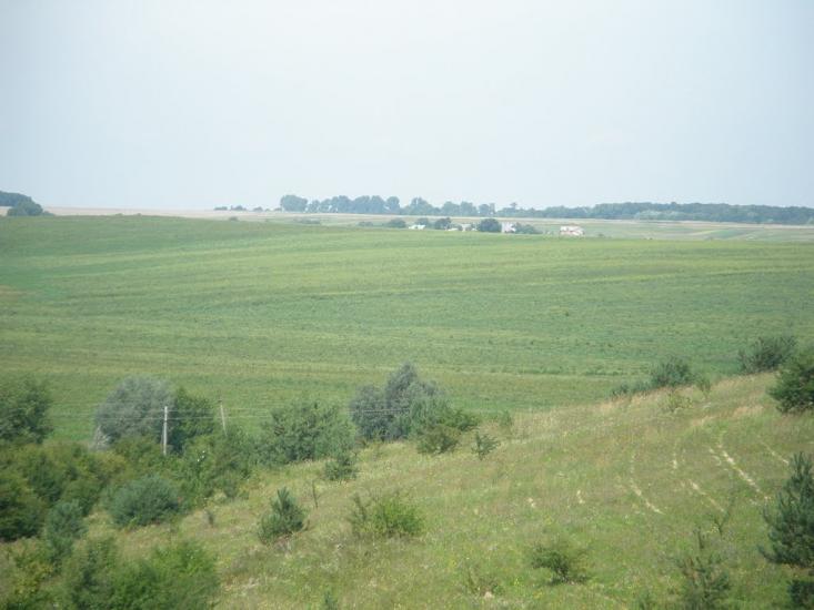 Бережне з panoramio.com - Berezhne