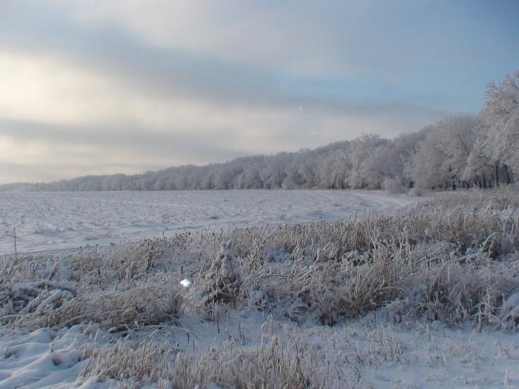 Сєверне з panoramio.com - Syeverne