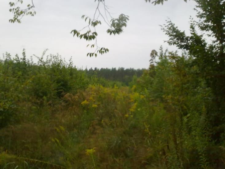 Білотин з panoramio.com - Білотин