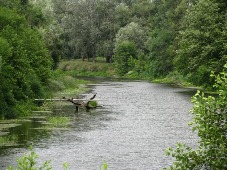 Глоди з panoramio.com - Glody