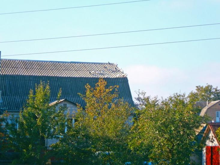 Гатне з panoramio.com - Гатне