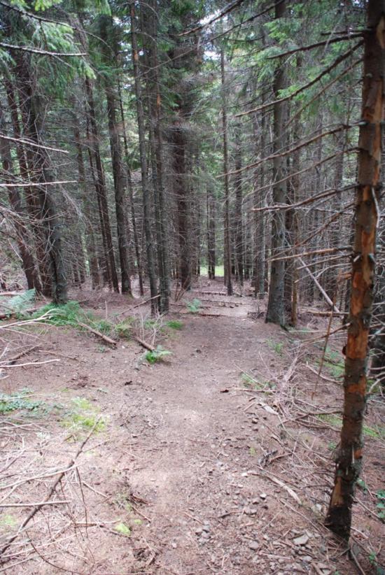 Черник з panoramio.com - Черник