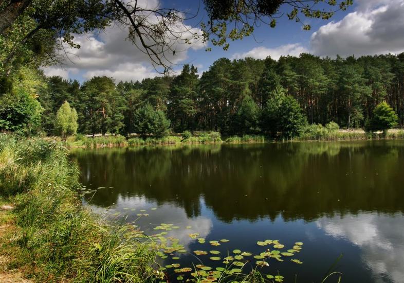 Новогуйвинське з panoramio.com - Новогуйвинське