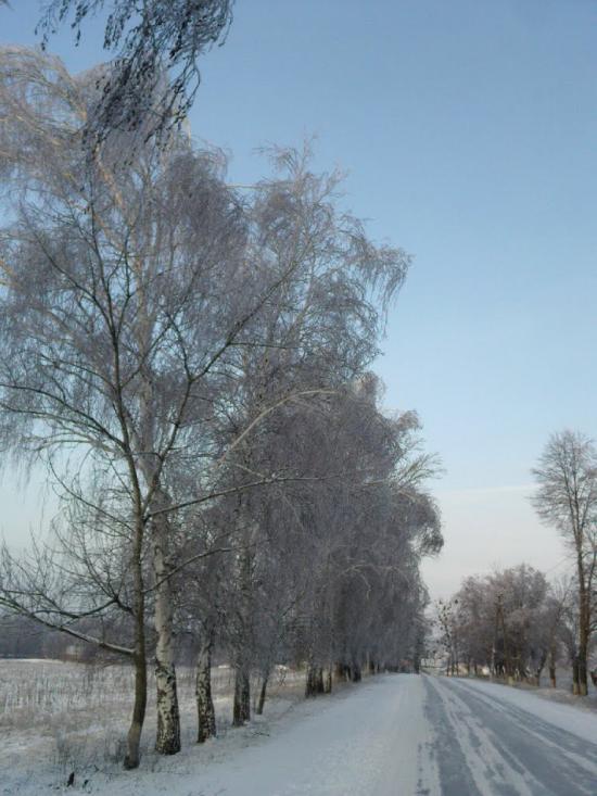 Буди з panoramio.com - Буди