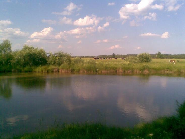 Станційне з panoramio.com - Станционное