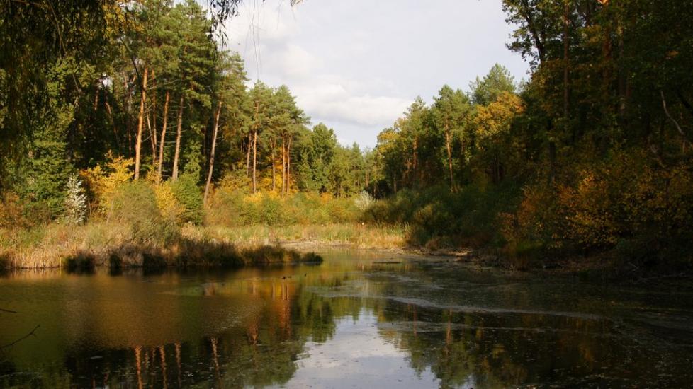 Віта-Поштова з panoramio.com - Вита-Почтовая