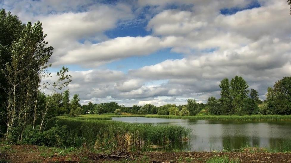 Дзензелівка з panoramio.com - Дзензелівка