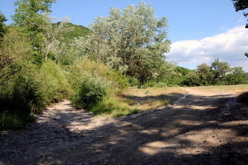 Прохладне з panoramio.com - Прохладное