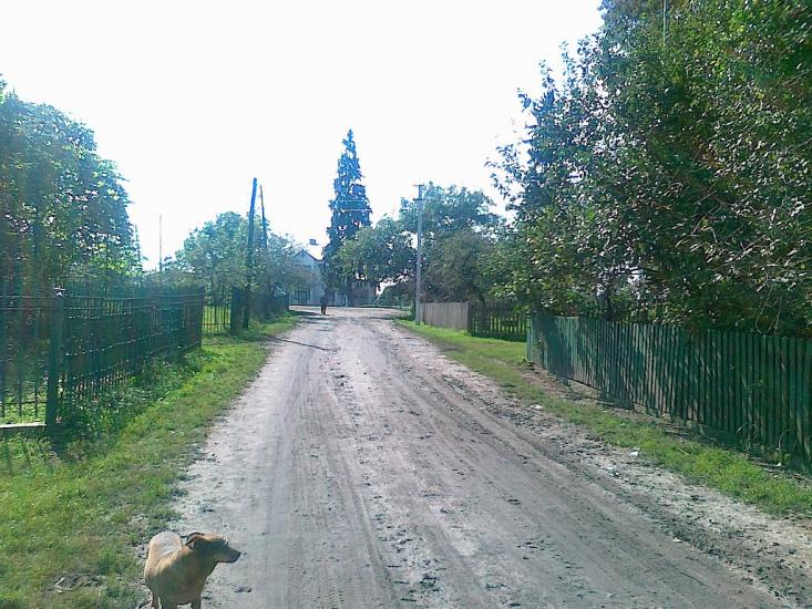 Новий Витків з panoramio.com - Новый Витков