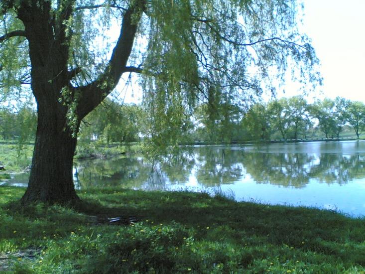 Іванівка з panoramio.com - Іванівка