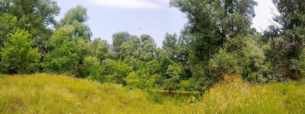 Говтва з panoramio.com - Govtva