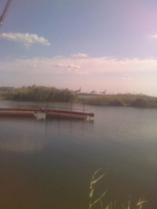 Галицинове з panoramio.com - Галициново