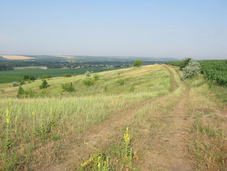 Нова Осота з panoramio.com - Новая Осота