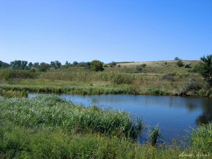 Новолатівка з panoramio.com - Новолатовка