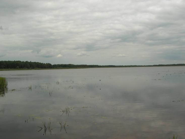 Згорани з panoramio.com - Згораны