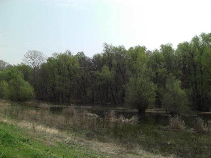 Матроська з panoramio.com - Матросская