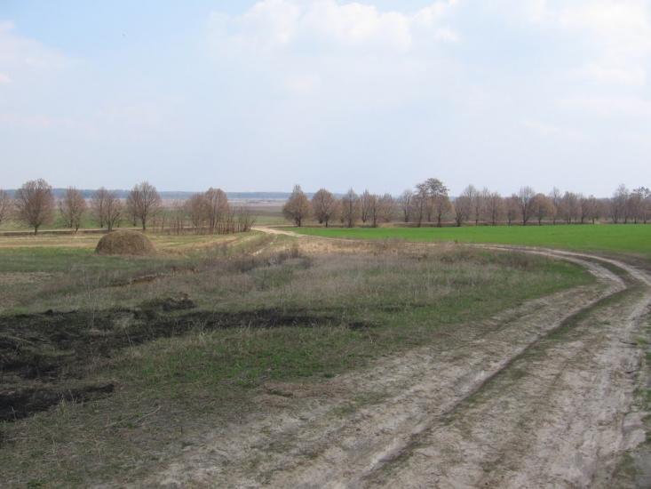 Петрушин з panoramio.com - Петрушин