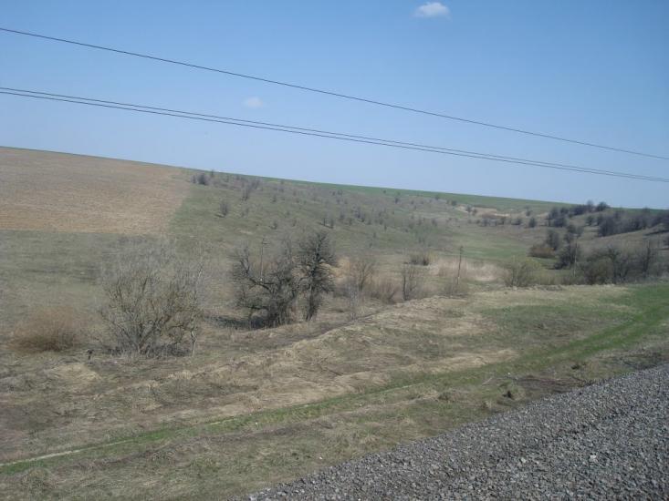 Чапаєвка з panoramio.com - Малые Коростовцы