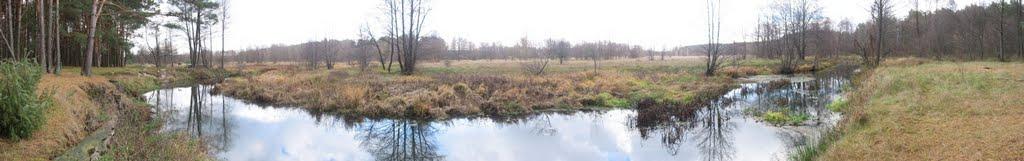 Візня з panoramio.com - Візня