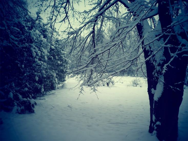 Хмільник з panoramio.com - Хмельник