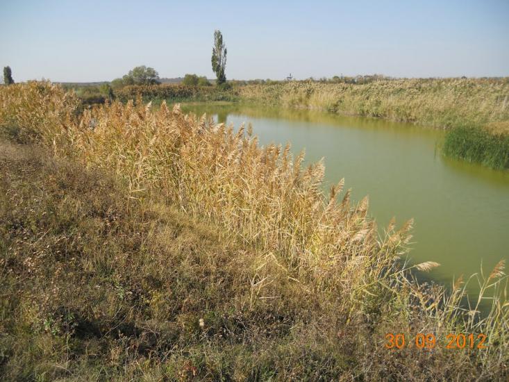 Денисівка з panoramio.com - Денисівка
