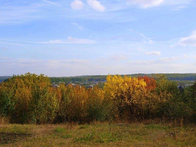 Хорошеве з panoramio.com - Хорошево