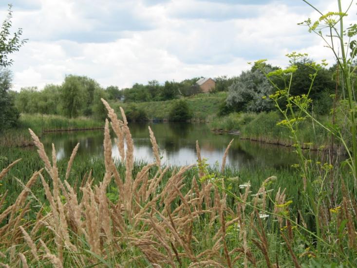 Комуніст з panoramio.com - Коммунист