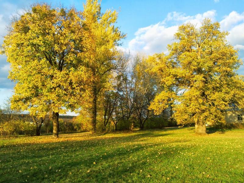 Пушкарівка з panoramio.com - Пушкаревка