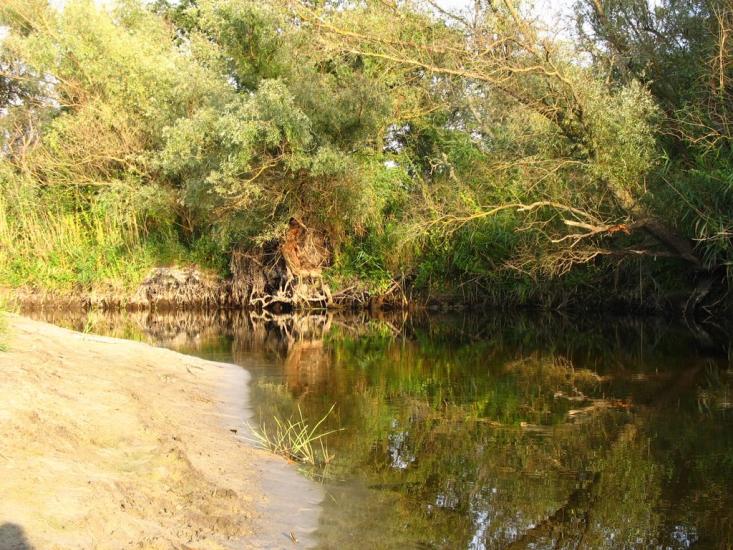 Усть-Лип'янка з panoramio.com - Усть-Липянка