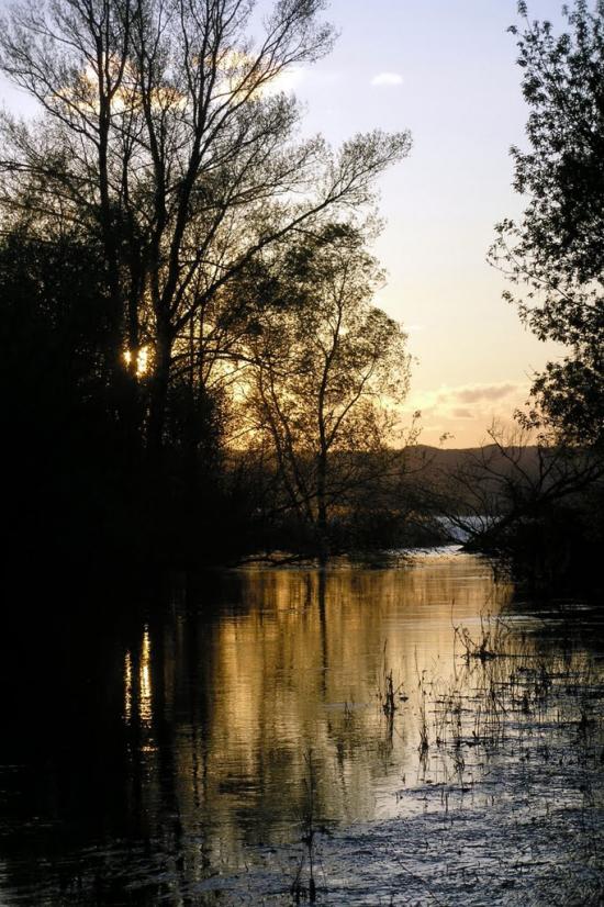 Прохорівка з panoramio.com - Прохорівка
