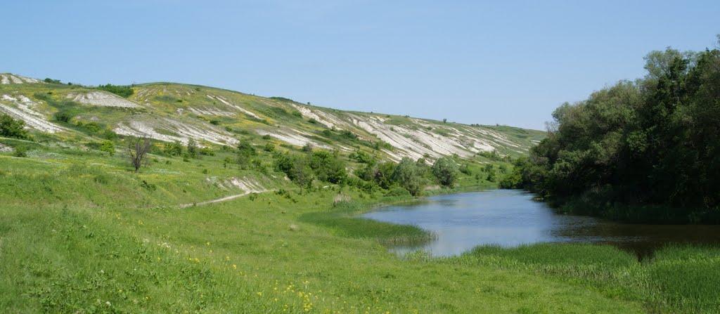 Лиман з panoramio.com - Лиман