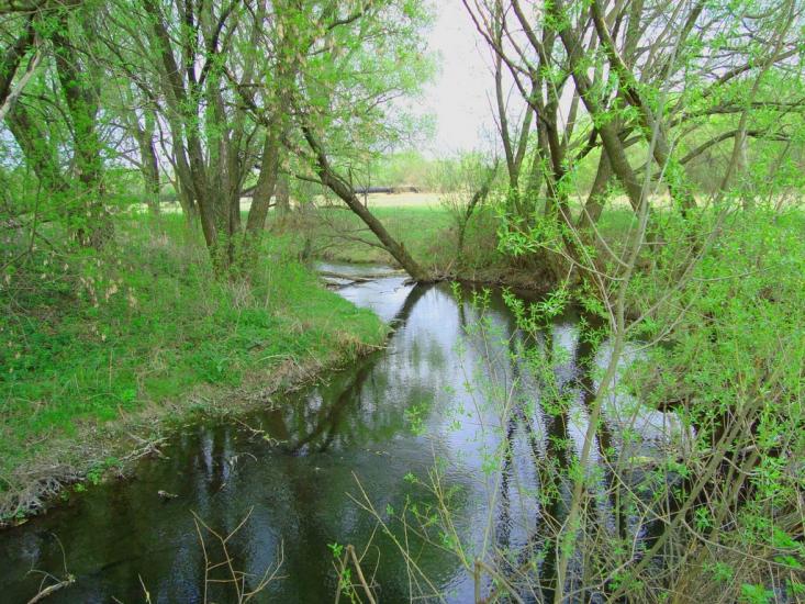 Рогань з panoramio.com - Rogan