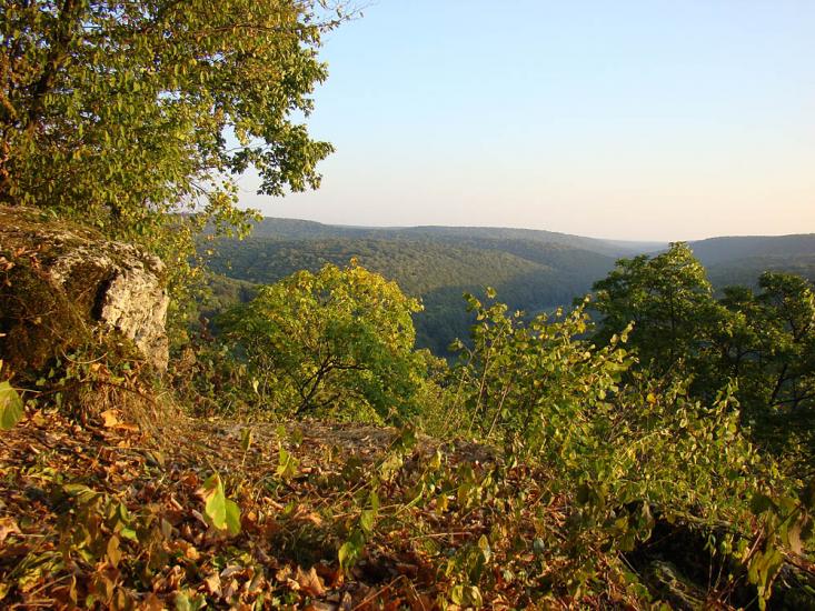 Личківці з panoramio.com - Лычковцы