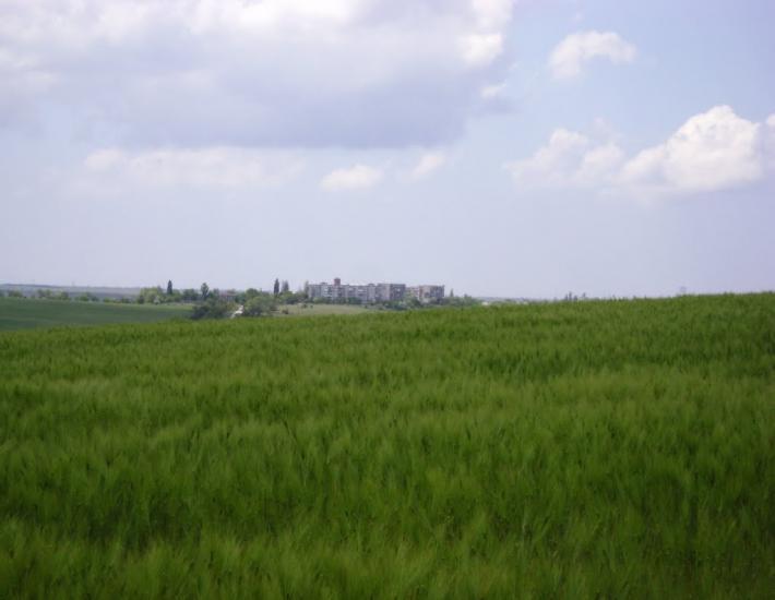 Кубанське з panoramio.com - Кубанське