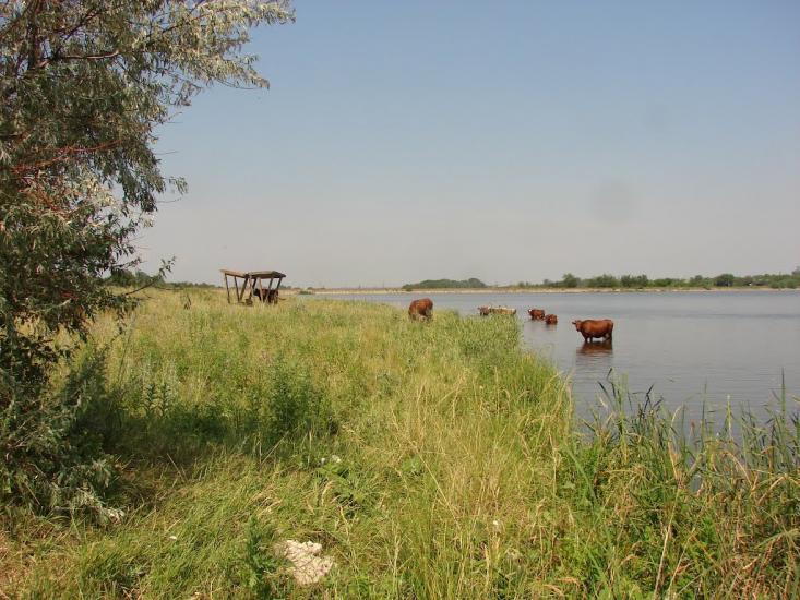 Ганнівка з panoramio.com - Ганнівка