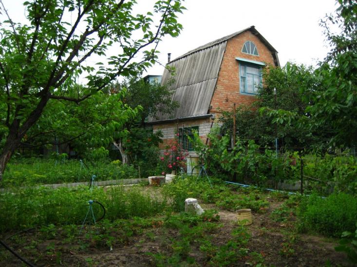 Сурсько-Клевцеве з panoramio.com - Сурсько-Клевцеве