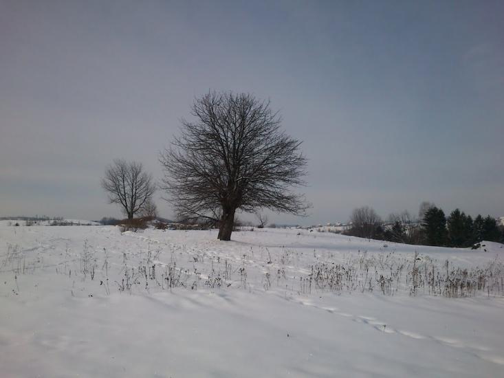 Бабче з panoramio.com - Бабче