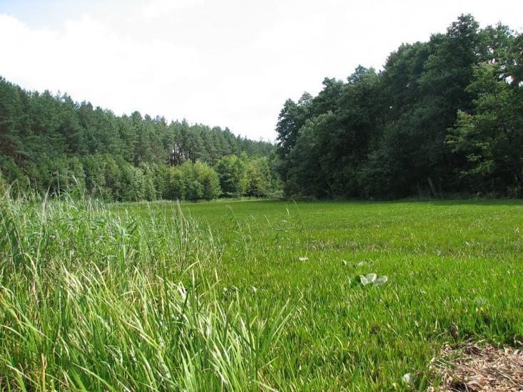 Гірки з panoramio.com - Горки