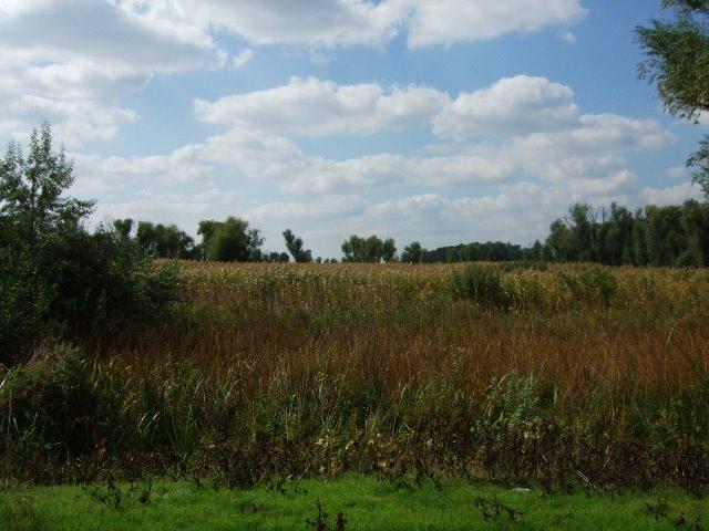 Солонці з panoramio.com - Солонцы