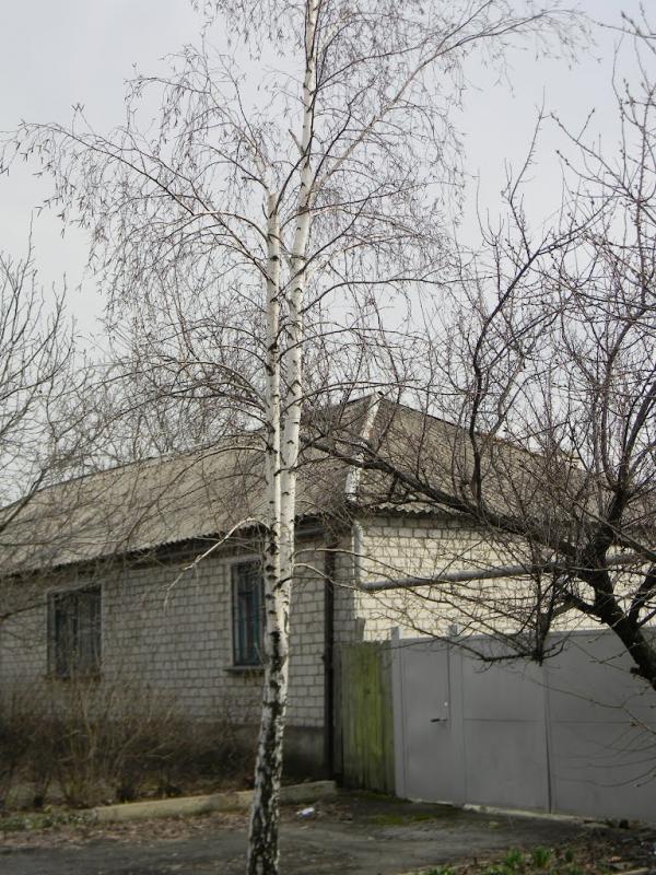 Кріпенський з panoramio.com - Крепенский