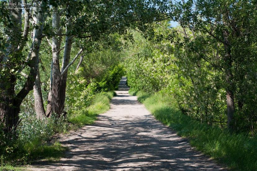 Сурсько-Литовське з panoramio.com - Сурско-Литовское