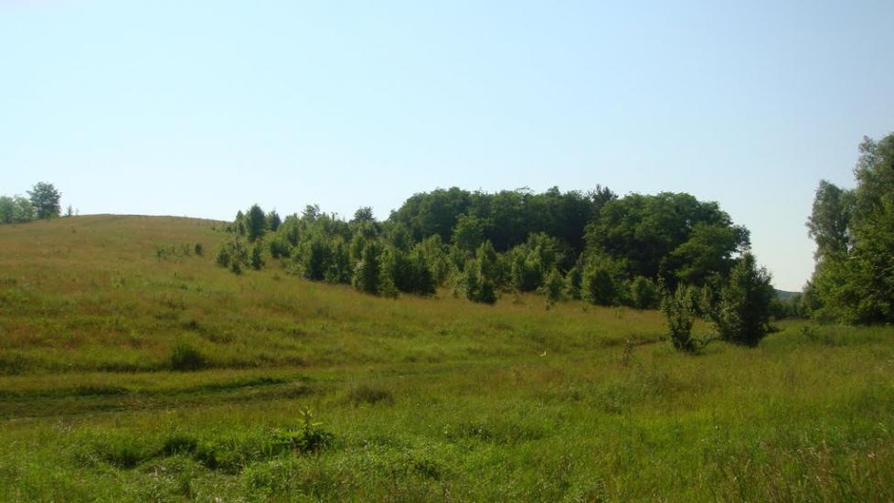 Лубенці з panoramio.com - Лубенцы