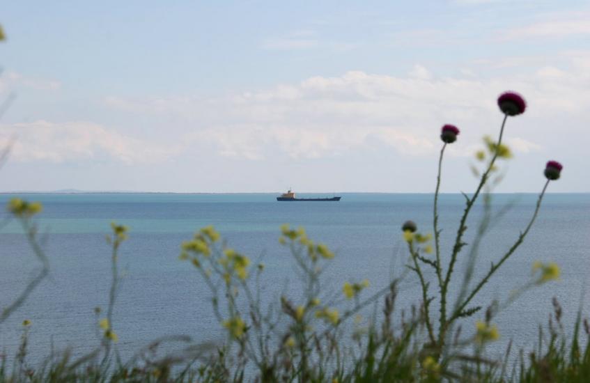 Челядінове з panoramio.com - Челядиново