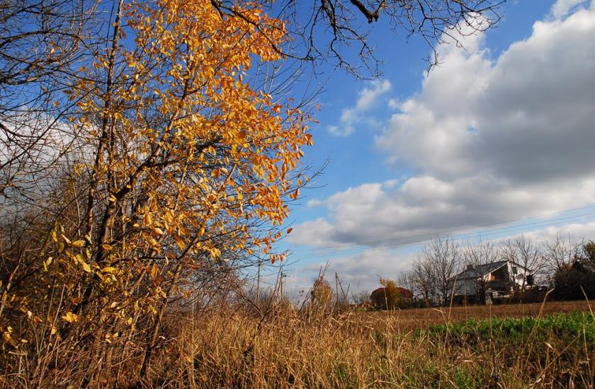 Узин з panoramio.com - Uzyn
