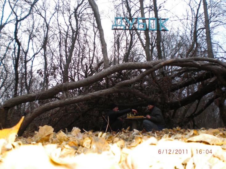 Вільне з panoramio.com - Вольное